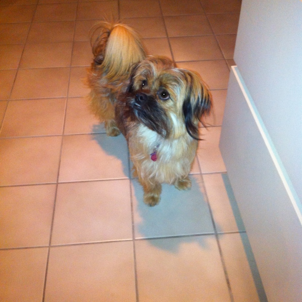 Meet your Posher, Jessica